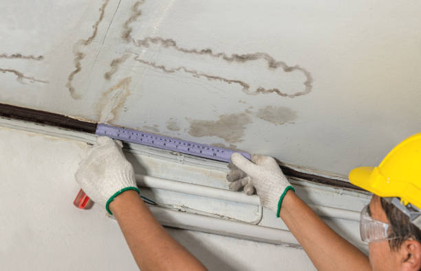 Affordable Water Damage Repair solutions in Twilight, WV